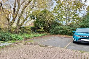 Photo 15- click for photo gallery